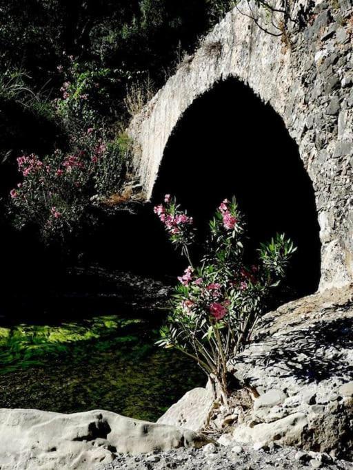 Villa Orne Magical Retreat Exterior foto
